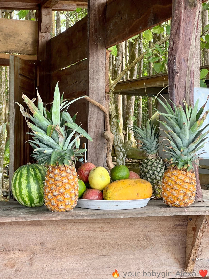 More of bocas del toro i think this was my favorite place so much to part 3 