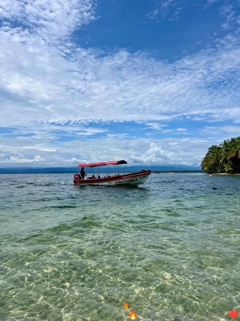 More of bocas del toro i think this was my favorite place so much to part 6 