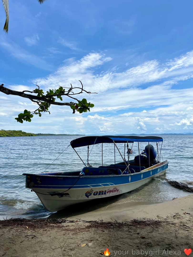 More of bocas del toro i think this was my favorite place so much to part 8 
