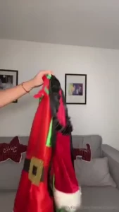 Santa s lil troublemaker