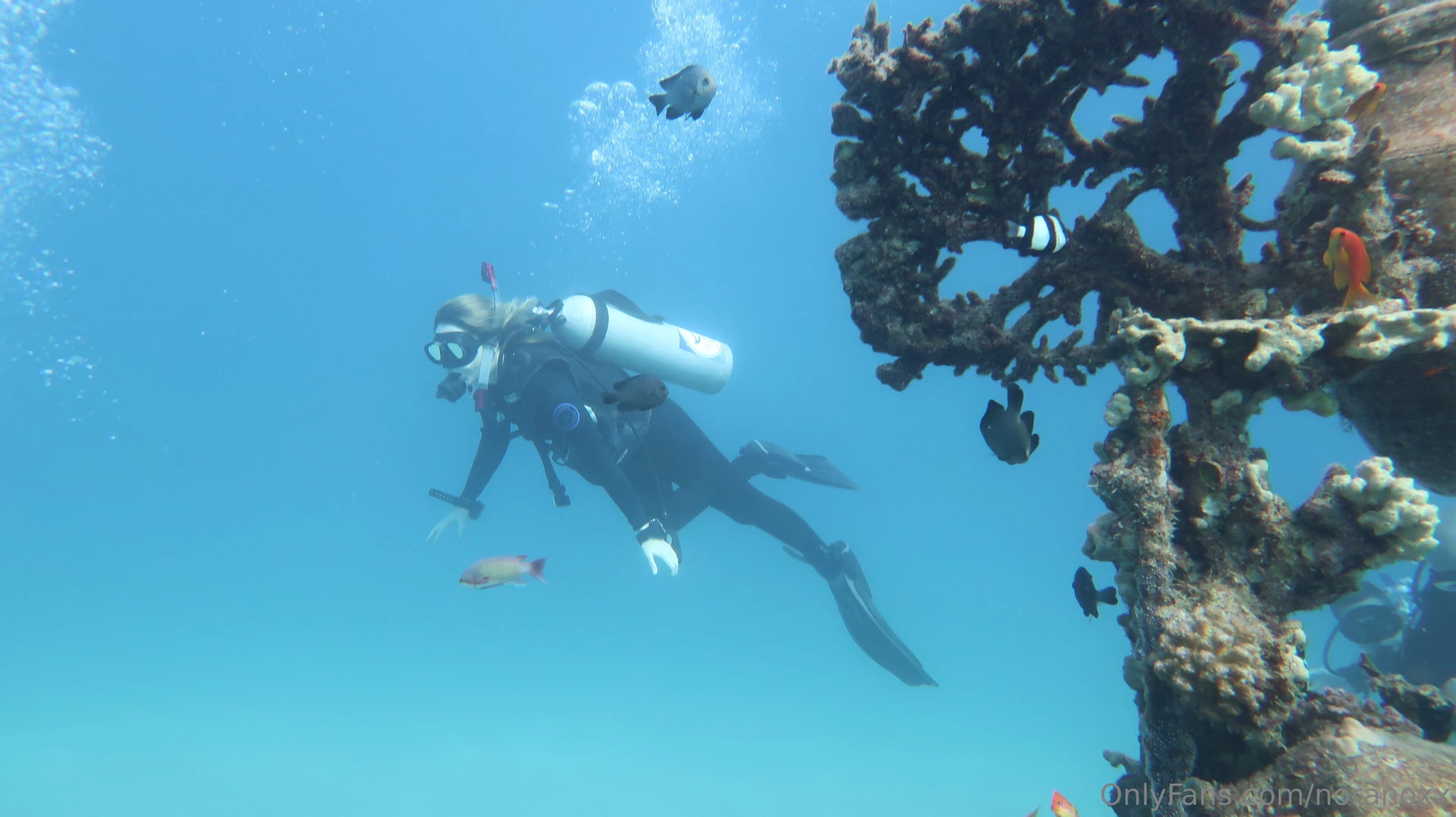 Been diving such an awesome experience and am a little proud on myself 