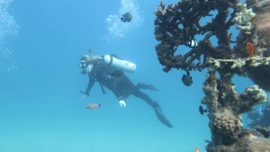 Been diving such an awesome experience and am a little proud on myself