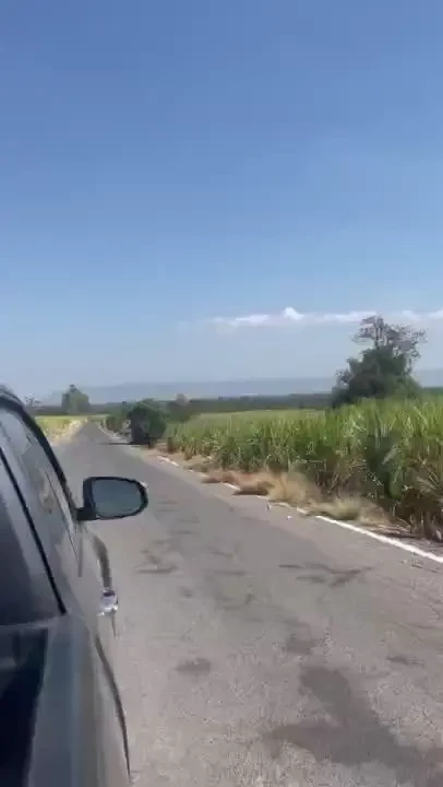 Thai countryside vibes 