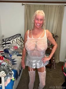 White net lingerie with attached stocking and silver skirt