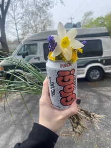 If you were to get me flowers i d keep them forever hang them upside