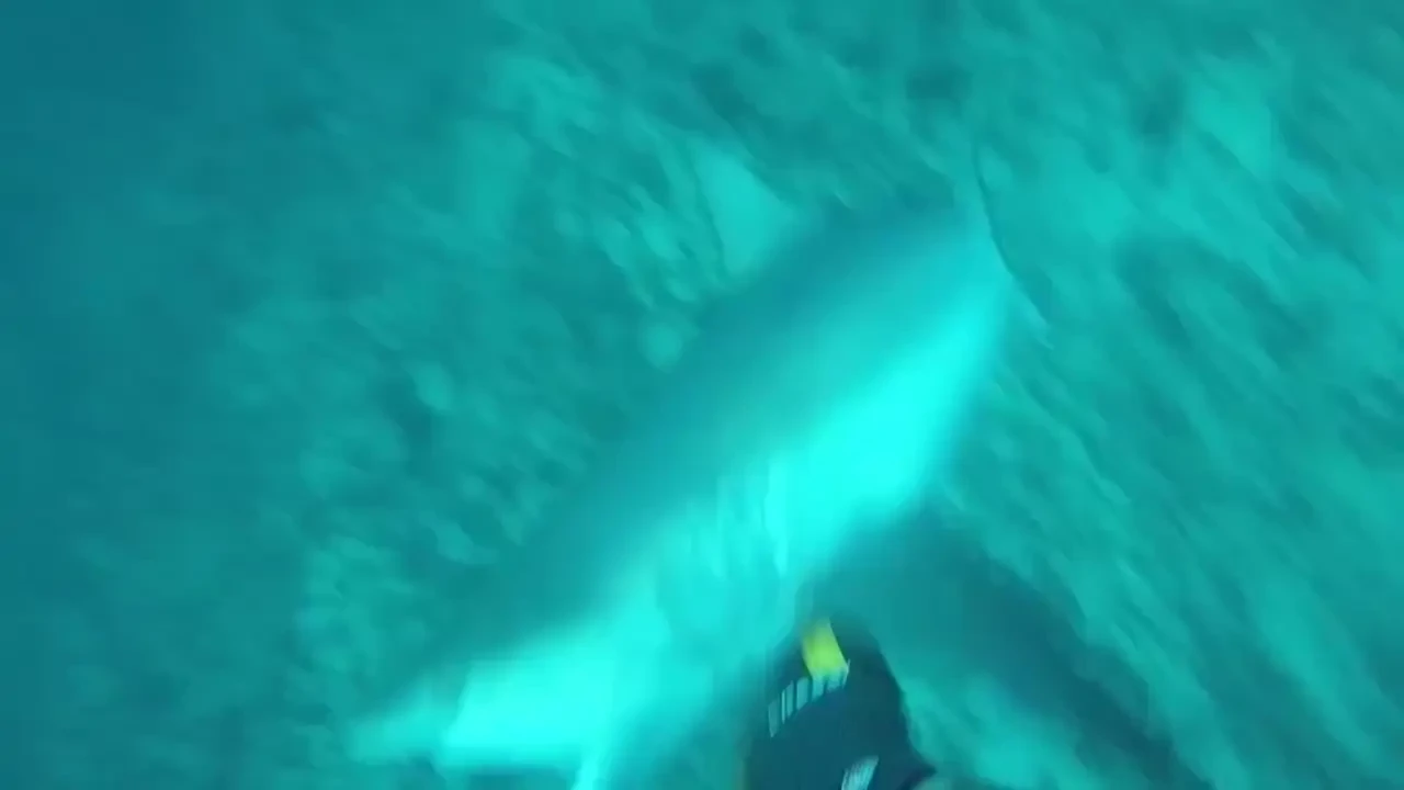 Join fitbrycetv and friends as they set sail on a mission to tag 