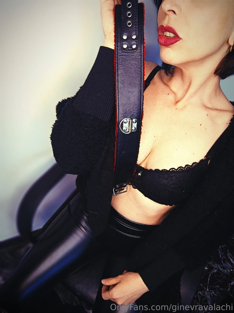 Ginevravalachi part 6 