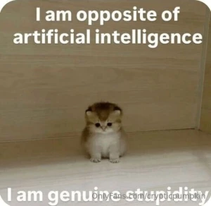 Last silly saturday of the month see y all next time part 1