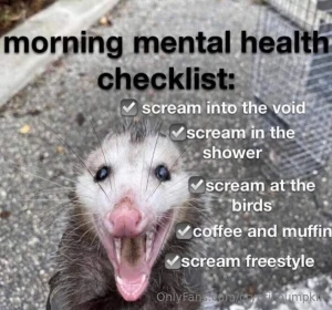 Oh yeah silly saturday