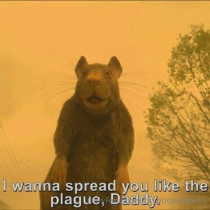 Silly saturdayyyyy part 2