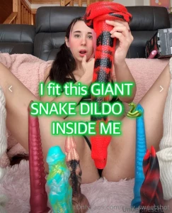 Go say hi to misty she loves big toys and fit 80 of this inside her