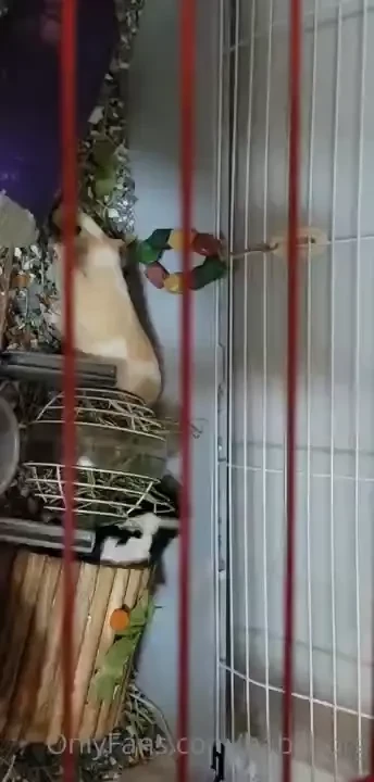 I needneedneedneedneed to be more active on here i have children to part 2 