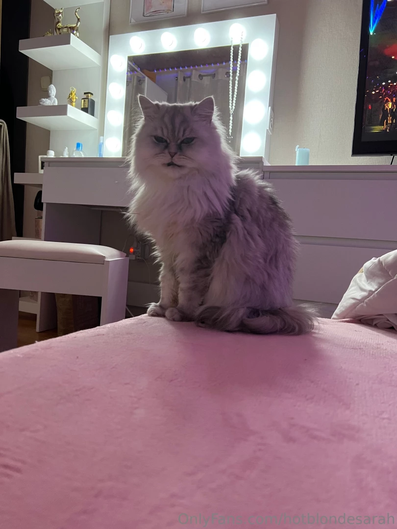 Trying my best to put a smile in its face but i guess im not good 