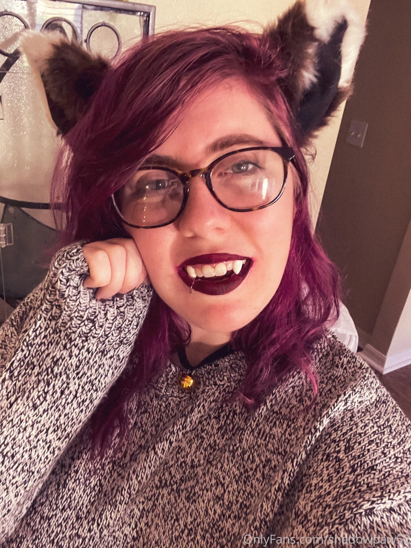 Hi it s me your favorite kitten took lots and lots of pictures today part 5 