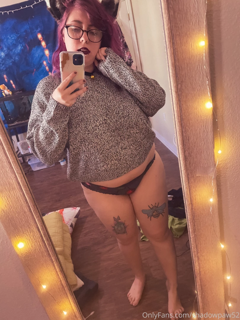 Hi it s me your favorite kitten took lots and lots of pictures today part 2 