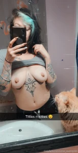 Good morning answering dms all day today like for kitties and titties