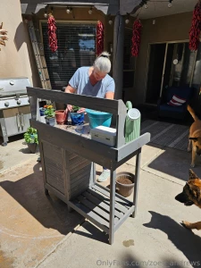 Spring has sprung with record heat so it was time to do some gardening