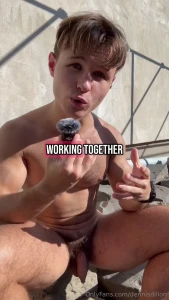 Musclechamp their combined antioxidant and anti-inflammatory effects