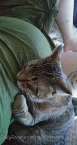 Life s been hard lately its hard to be happy and active when you don t