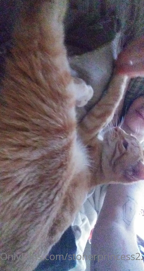 Life s been hard lately its hard to be happy and active when you don t part 2 