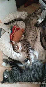 Life s been hard lately its hard to be happy and active when you don t part 1