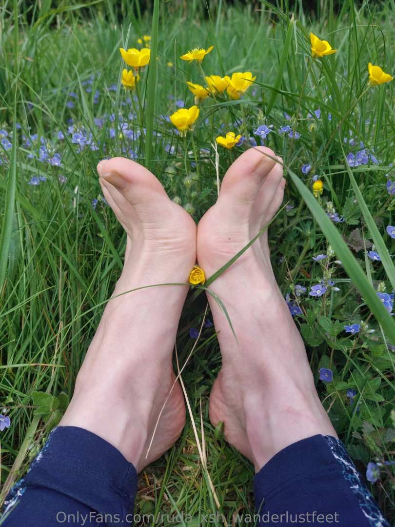 Lazy sunday part 101 