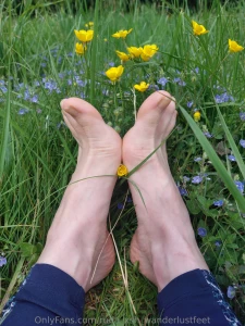 Lazy sunday part 101