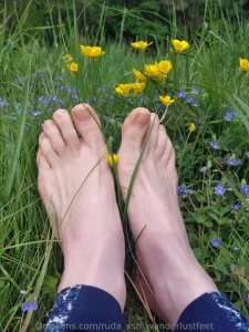 Lazy sunday part 100