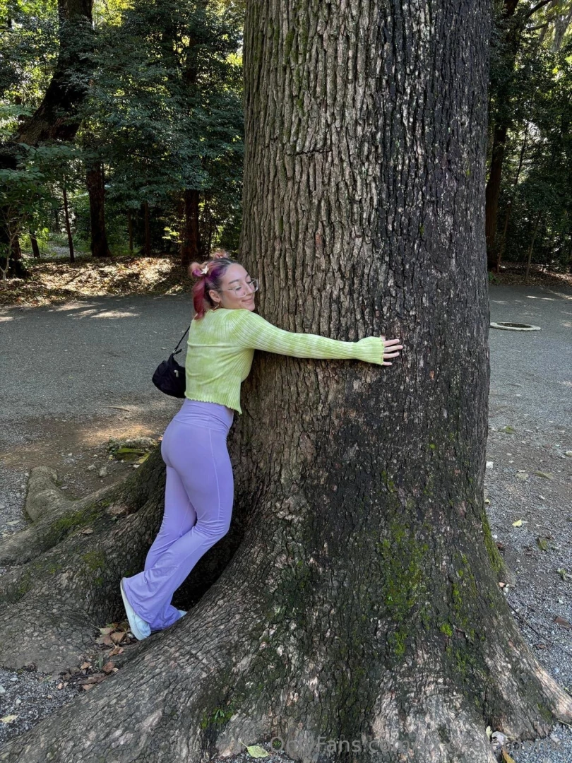 Thoughts on tree hugers 