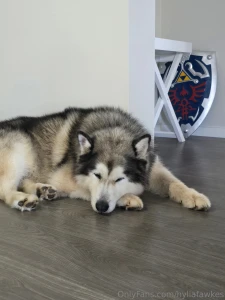 Hey guys my baby bear had to undergo a surgery for his teefies i made part 1