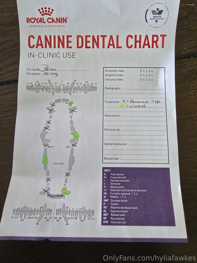 Hey guys my baby bear had to undergo a surgery for his teefies i made part 3 