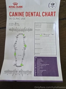 Hey guys my baby bear had to undergo a surgery for his teefies i made part 3