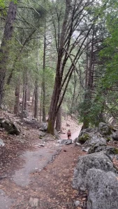 Mirror lake trail- yosemite a beautiful place to connect btw this my part 2