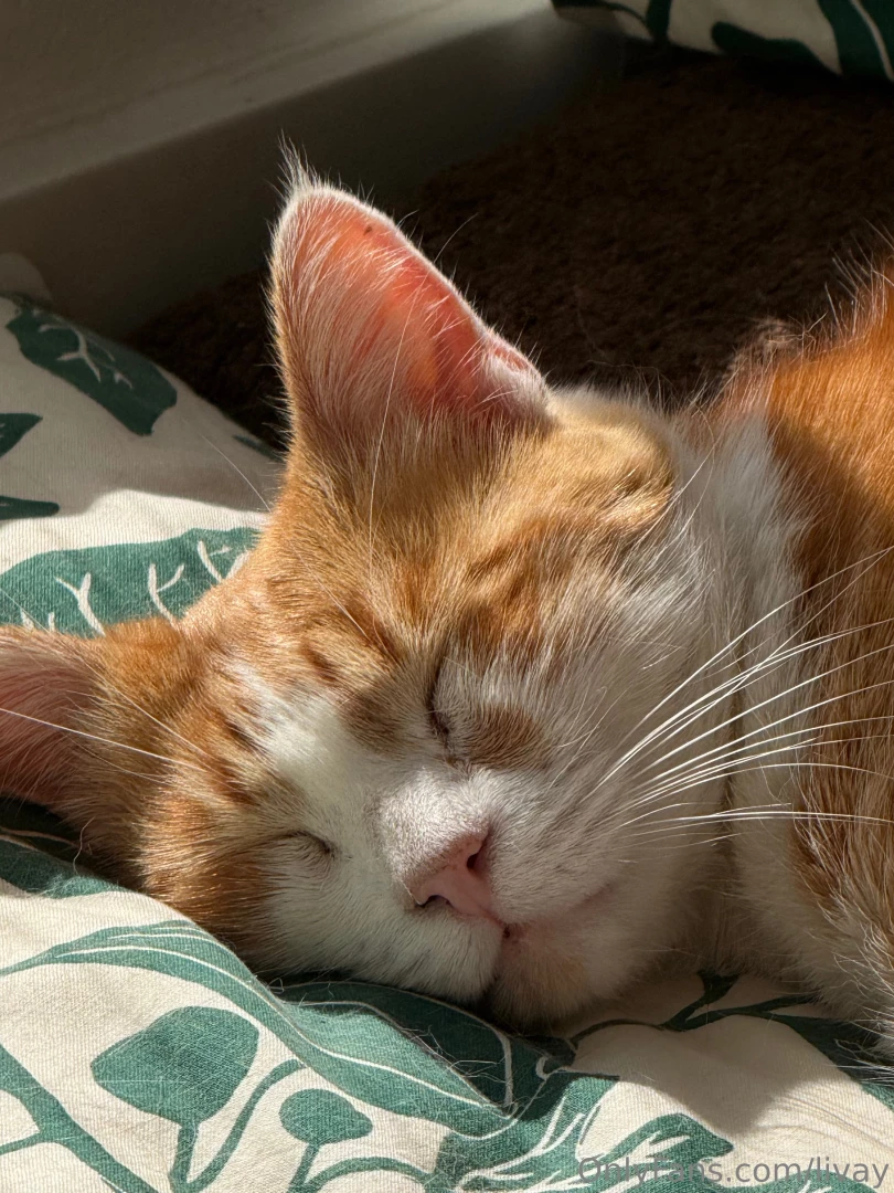 Hey guys as i told you i want to be more open about me and the things part 1 