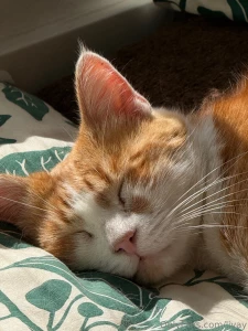 Hey guys as i told you i want to be more open about me and the things part 1