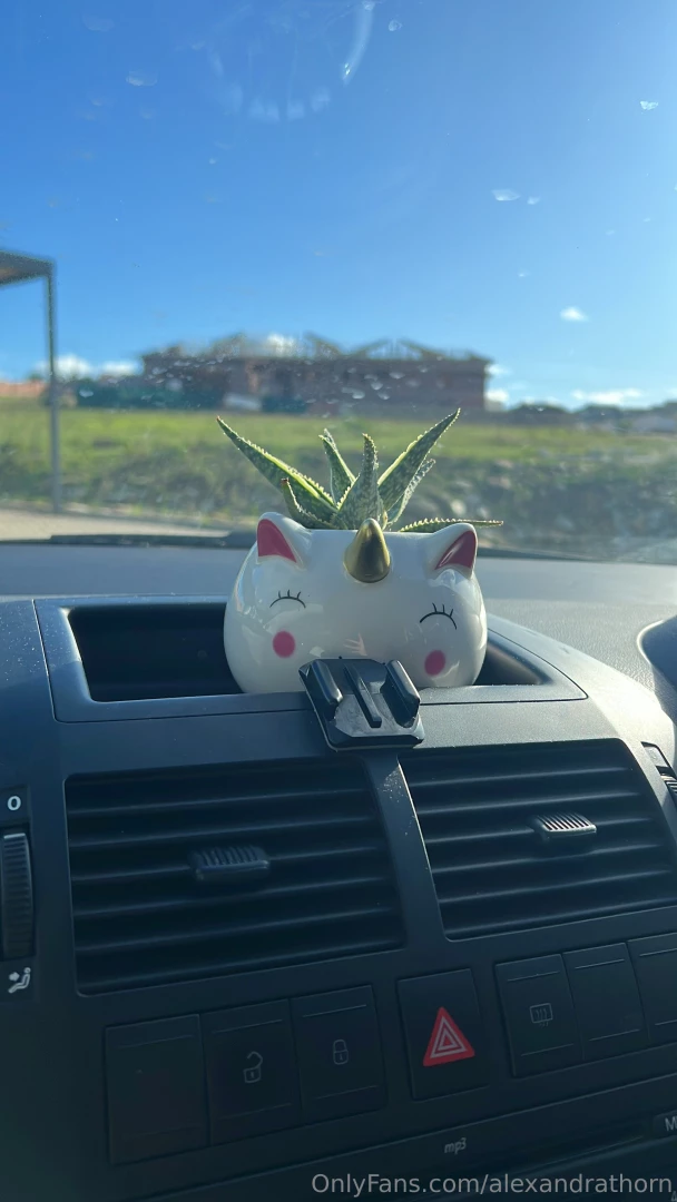 Mini life update we ve finally moved into our own little apartment part 4 