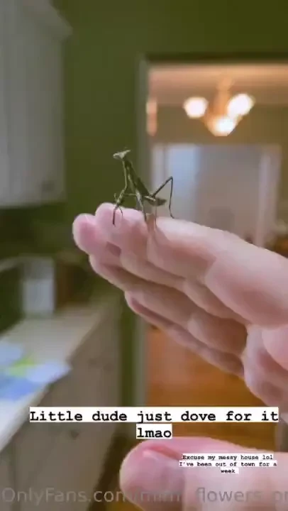 Just a little photo dump part 23 