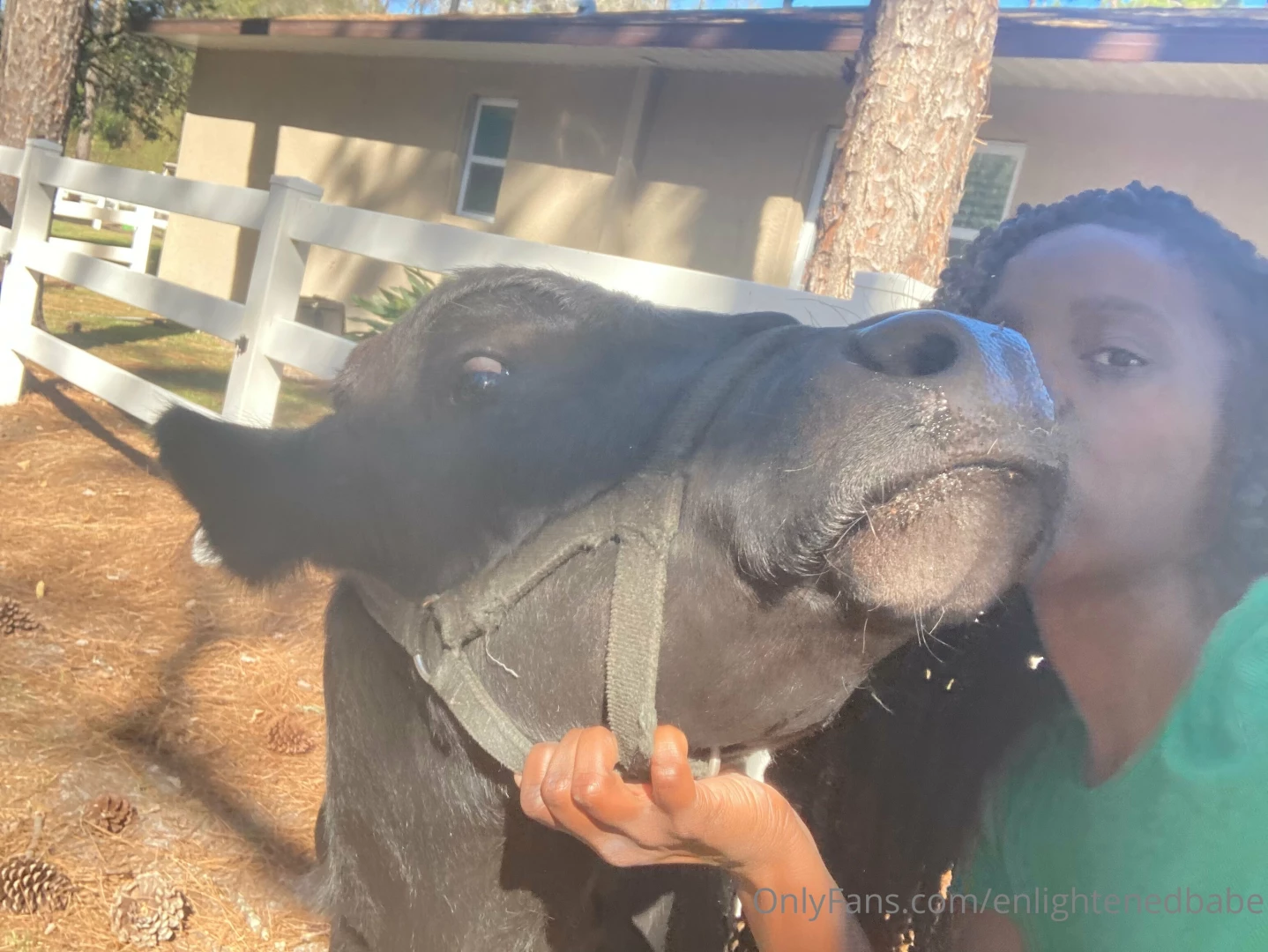 Swipe to see me kiss a cow part 1 