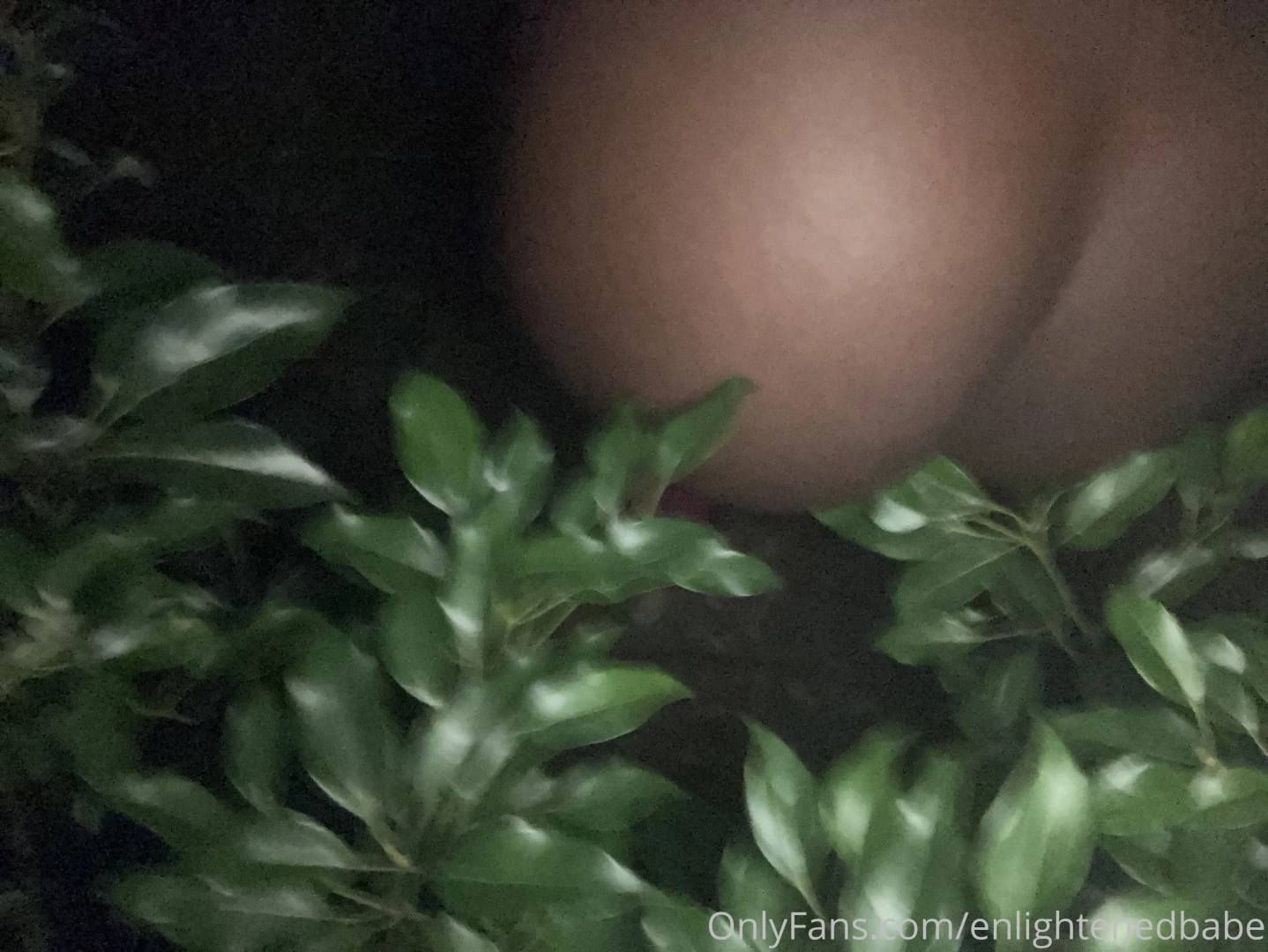 Want to see more of my early morning adventures get this post to its part 2 