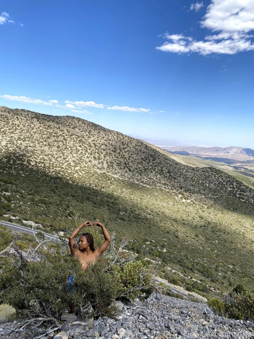 Take a walk on the wild side amp amp enjoy the view part 4 