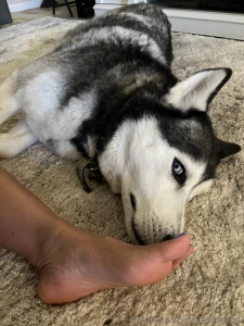 I don t have a foot fetish you have a foot fetish