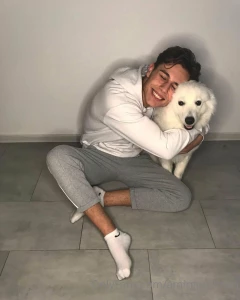 This dog is like snow