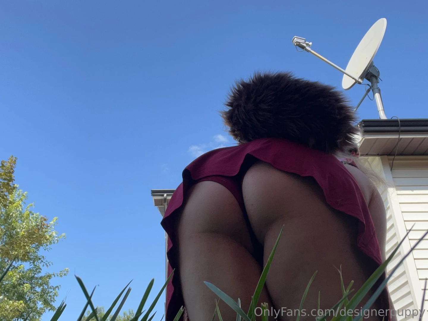 Designerpuppy part 20 