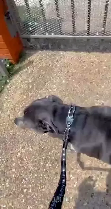 Video dump cause i love you part 1 