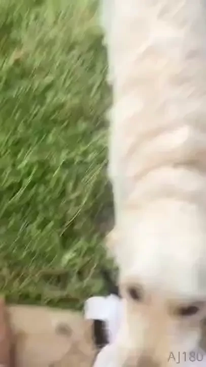 This is how i start my morning now im so grateful i got a job 