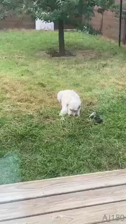 This is how i start my morning now im so grateful i got a job part 2 