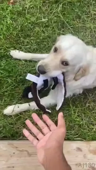 This is how i start my morning now im so grateful i got a job part 4 