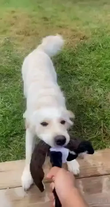 This is how i start my morning now im so grateful i got a job part 3 