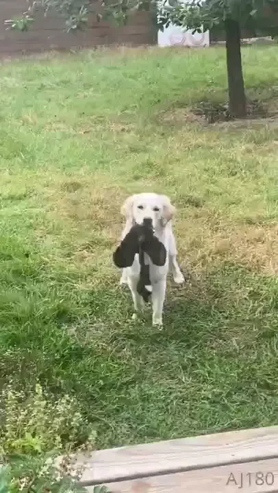 This is how i start my morning now im so grateful i got a job part 1 