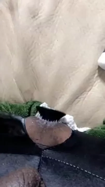 See how much control my fuckhole has 